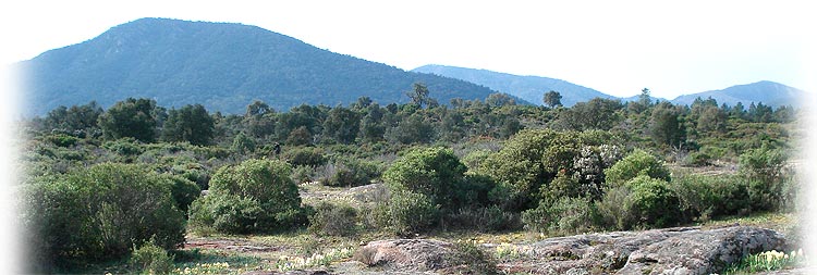 paysage du var sous-sols pierres calcaires micaschiste